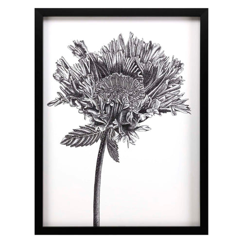 Francis Simple Floral Grow Framed Art