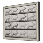 Mugbridge Elk Trotting Framed Art