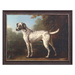 Wootton Grey Spotted Hound Framed Art