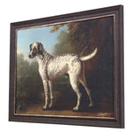 Wootton Grey Spotted Hound Framed Art