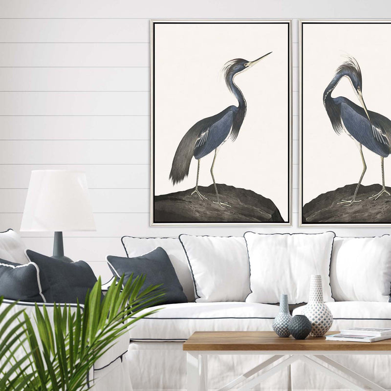 Audubon Great Heron I Framed Canvas Art