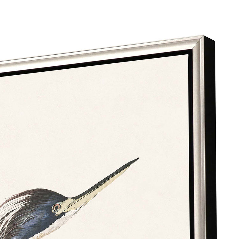 Audubon Great Heron I Framed Canvas Art