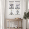 Poesia Pure Garden Framed Art Set of 4