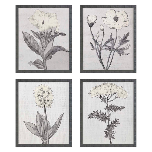 Poesia Pure Garden Framed Art Set of 4