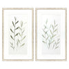 JL Design Light Ferns Framed Art Set of 2