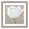 Poesia Winter's Petal I Framed Art