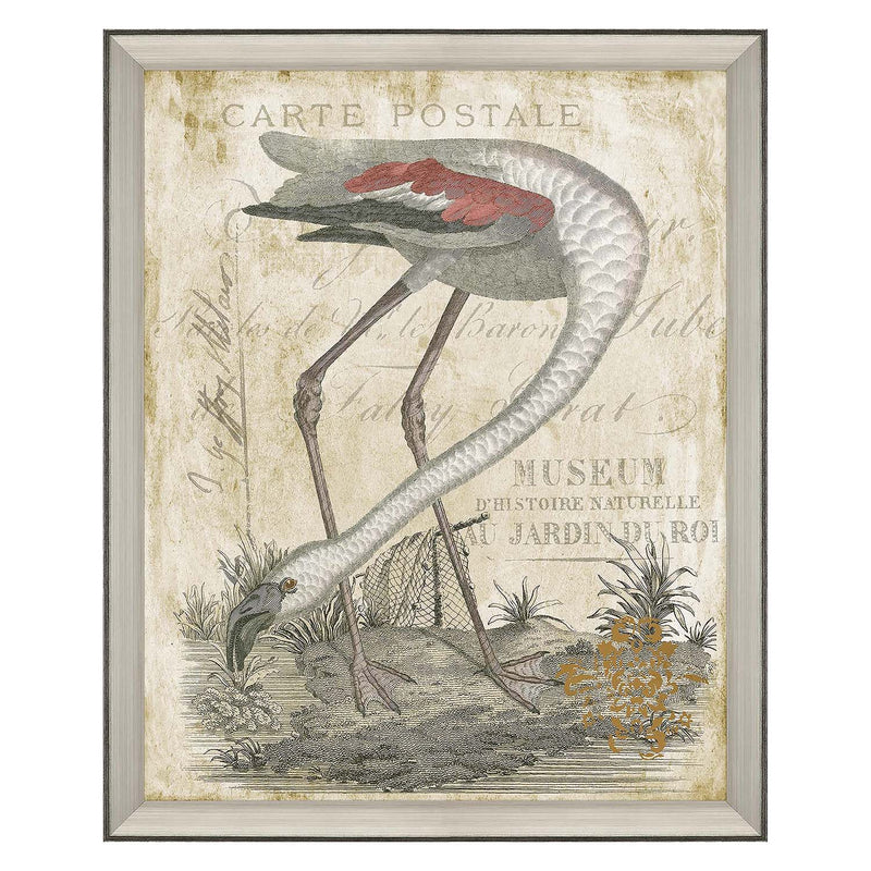 Cardoza Flamingo Framed Art