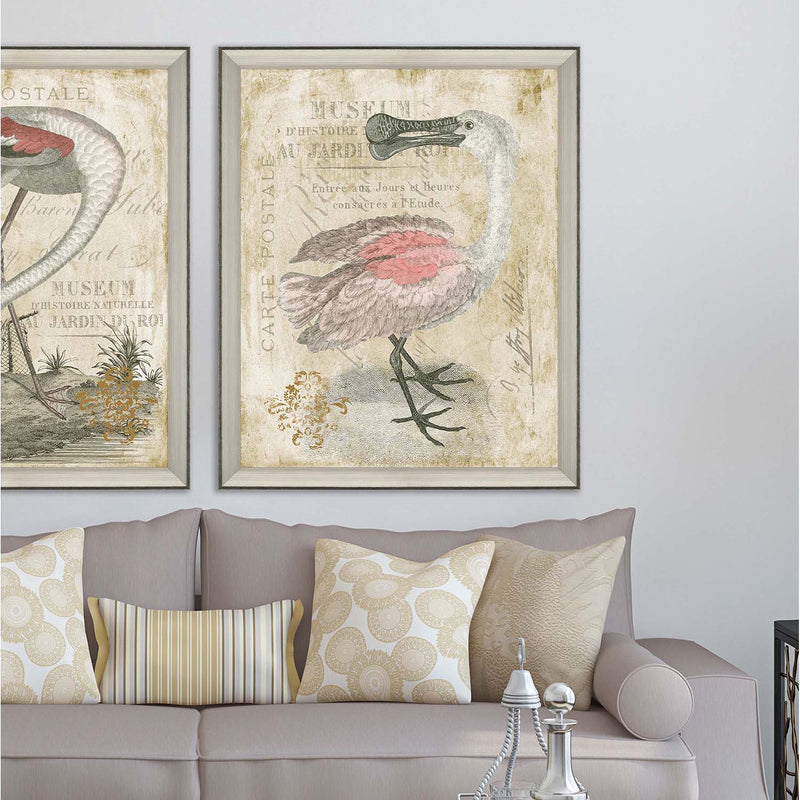 Cardoza Spoonbill Framed Art