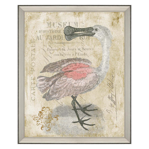 Cardoza Spoonbill Framed Art