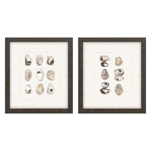 Inspire Studio Shell Series Framed Art Set of 2