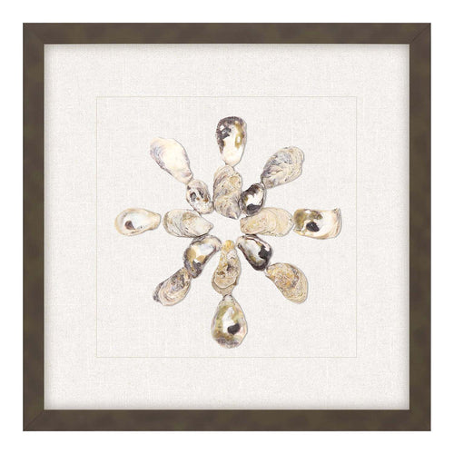 Inspire Studio Oyster Shell I Framed Art