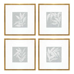 Paschke Leaf Study Framed Art Set of 4