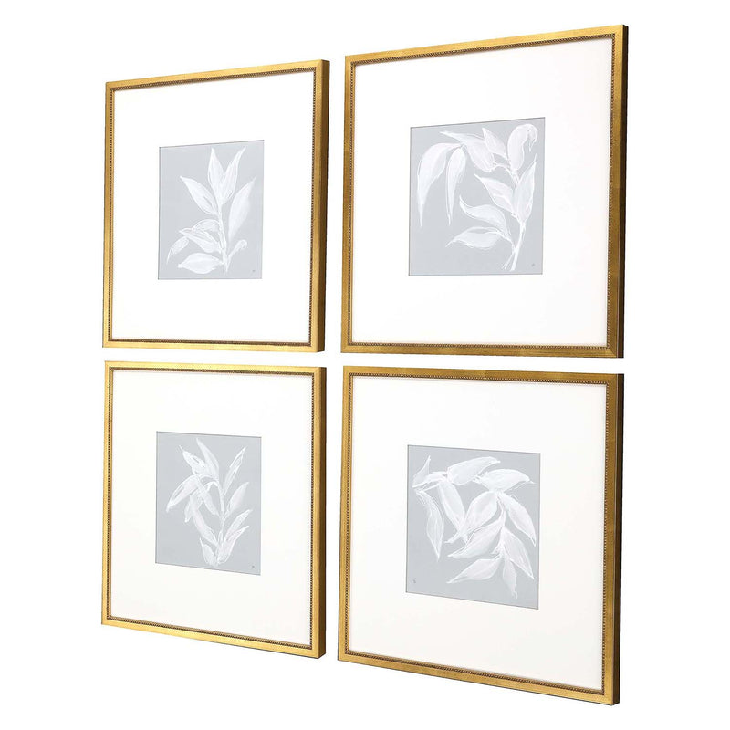 Paschke Leaf Study Framed Art Set of 4