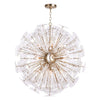 Regina Andrew Poppy Glass Chandelier