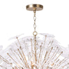 Regina Andrew Poppy Glass Chandelier