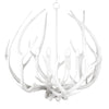 Regina Andrew Waylon Antler Round Chandelier