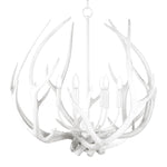 Regina Andrew Waylon Antler Round Chandelier