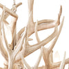 Regina Andrew x Southern Living Waylon Antler Chandelier