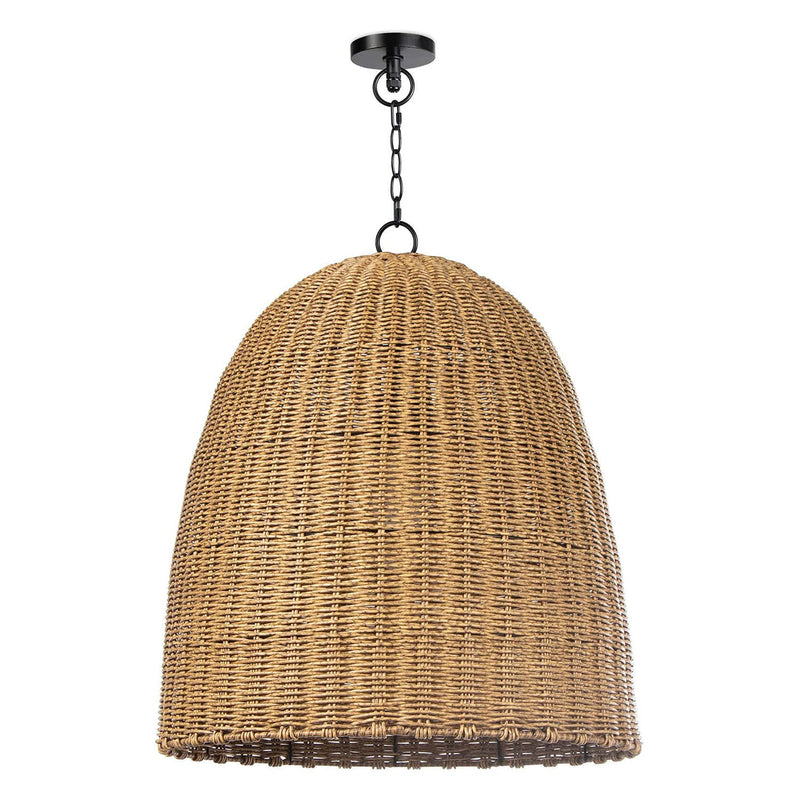 Regina Andrew x Coastal Living Beehive Outdoor Pendant