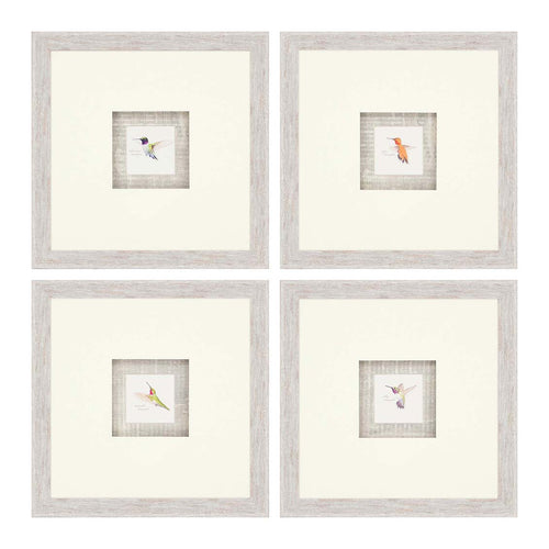 Hummingbirds Framed Art Set of 4