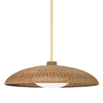 Hudson Valley Lighting Delano Pendant