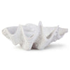 Regina Andrew Bimini Clam Decorative Bowl