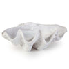 Regina Andrew Bimini Clam Decorative Bowl