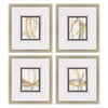 Jardine Scroll Series II Framed Art Set of 4