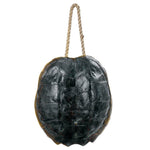 Regina Andrew Turtle Shell Wall Decor