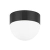 Hudson Valley Lighting Adams Flush Ceiling Mount - Final Sale