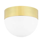 Hudson Valley Lighting Adams Flush Ceiling Mount - Final Sale