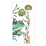 Jardine Underwater Living III Framed Art