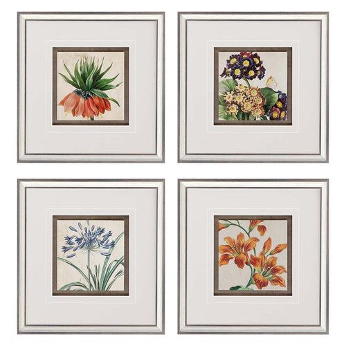 The Studio Heirloom Florals I Framed Art Set of 4