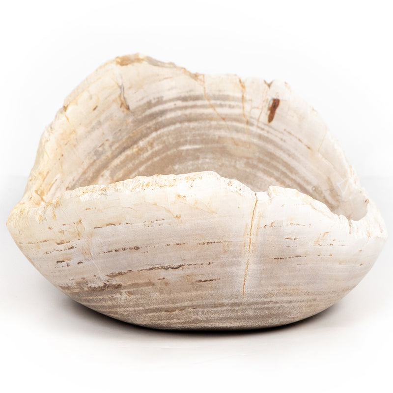 Four Hands Oval Petrified Wood Bowl