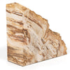 Four Hands Petrified Wood Book End Set