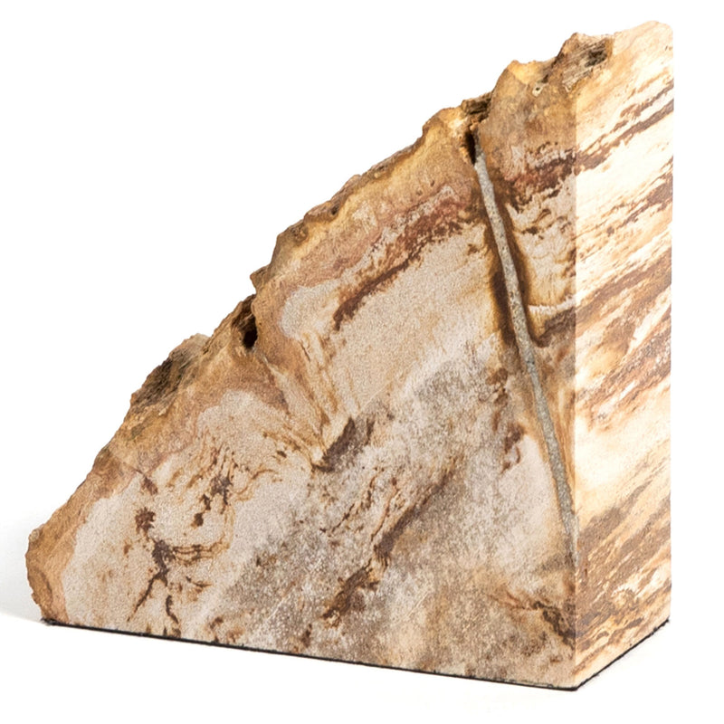 Four Hands Petrified Wood Book End Set