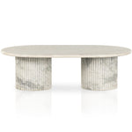 Four Hands Oranda Coffee Table