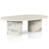 Four Hands Oranda Coffee Table