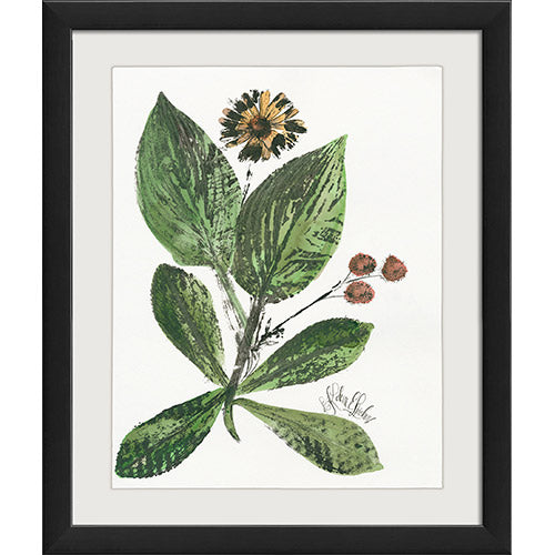 Within My Garden Go Framed Print