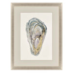 Slice Crassostrea Virginica I Framed Art