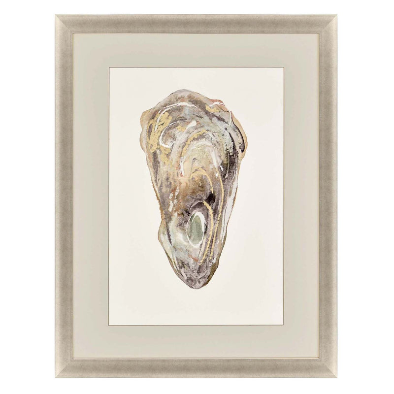 Slice Crassostrea Virginica II Framed Art