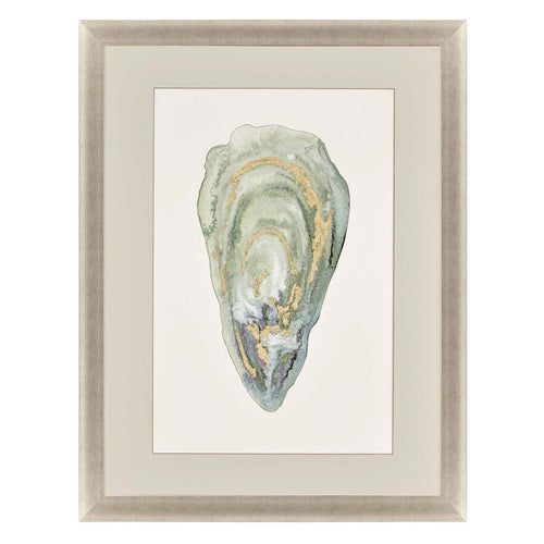 Slice Crassostrea Virginica III Framed Art