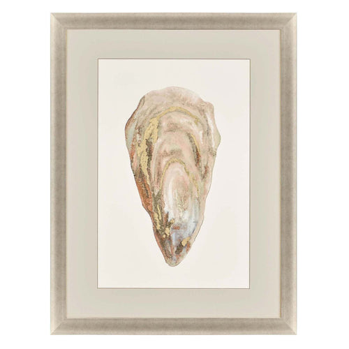 Slice Crassostrea Virginica IV Framed Art