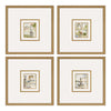 Jardine Fountains I Framed Art Set of 4