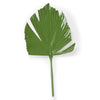 Wildwood Split Leaf Palm Wall Decor