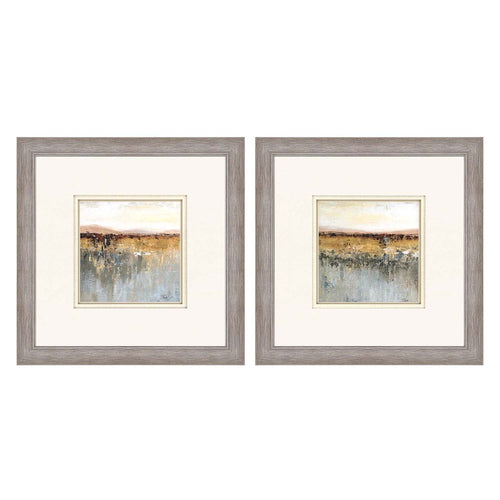 Pinto Antique Contemporary Framed Art Set of 2