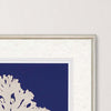 Vision Studio Seaweed on Navy II Framed Art Set of 2