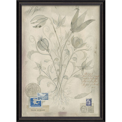 Flowers Change of Seasons Framed Print