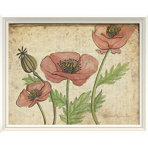 Pink Flowers Framed Print