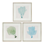 Vision Studio Sea Fan I Framed Art Set of 3